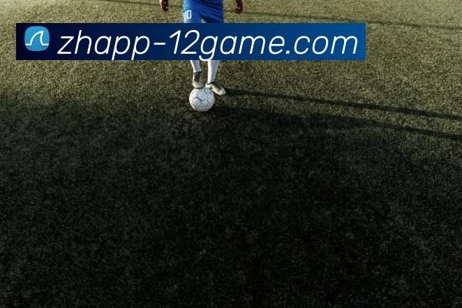 App Interface Preview