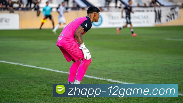 12博官网APP 封面图